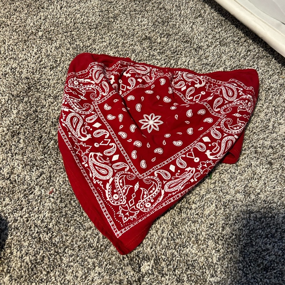 Bandana tube top